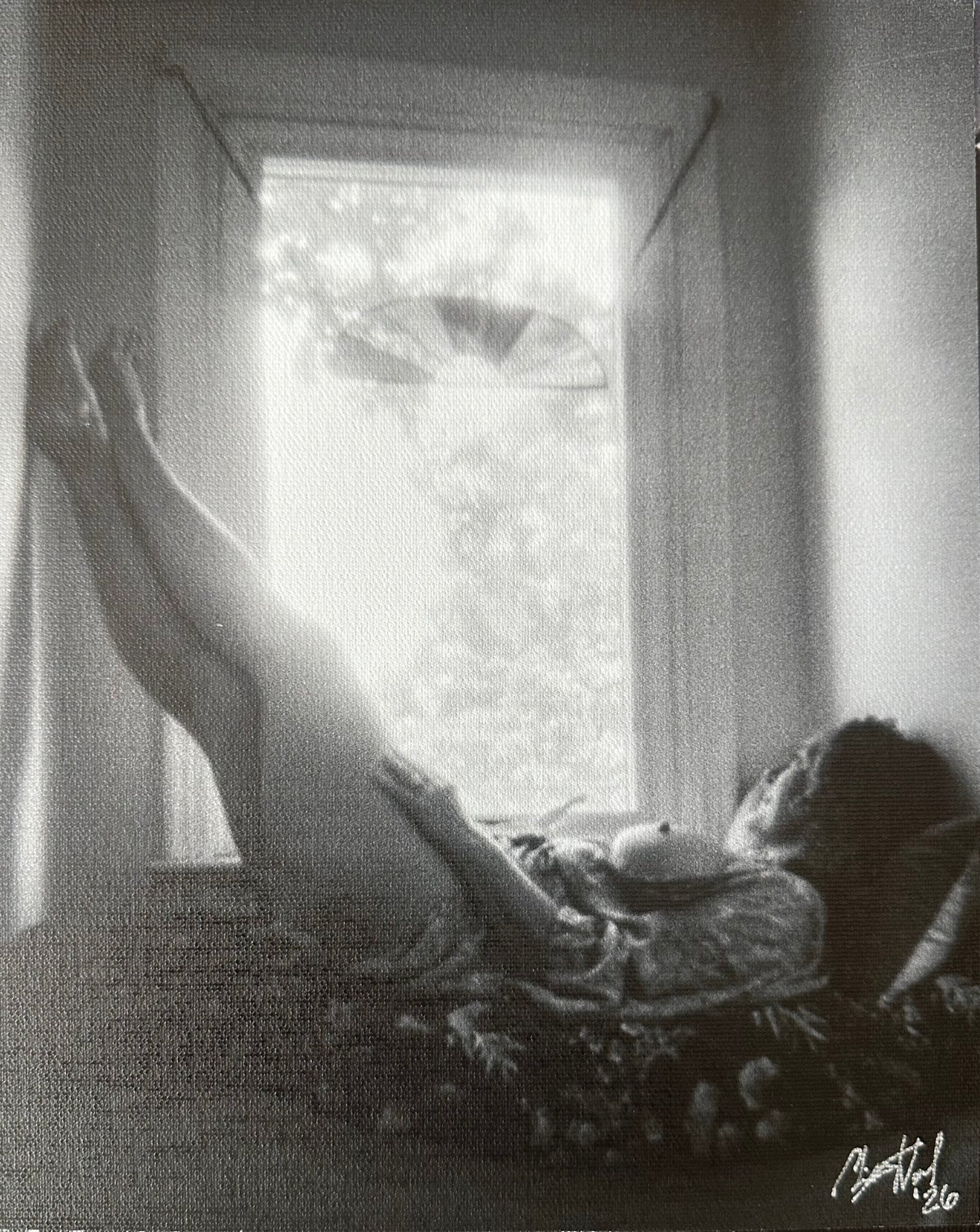 Christy Ward - Day Dreamer (2026)