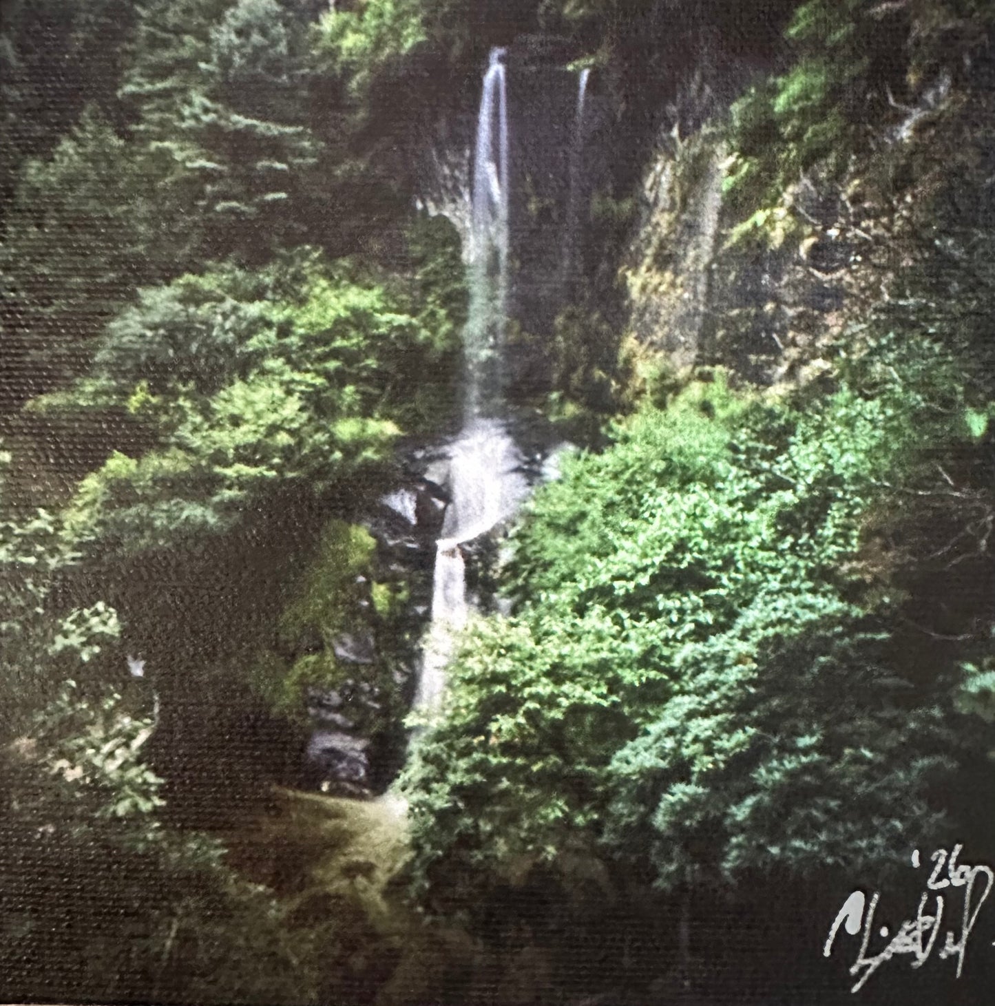 Christy Ward - Waterfall in Tok Tok (2024)