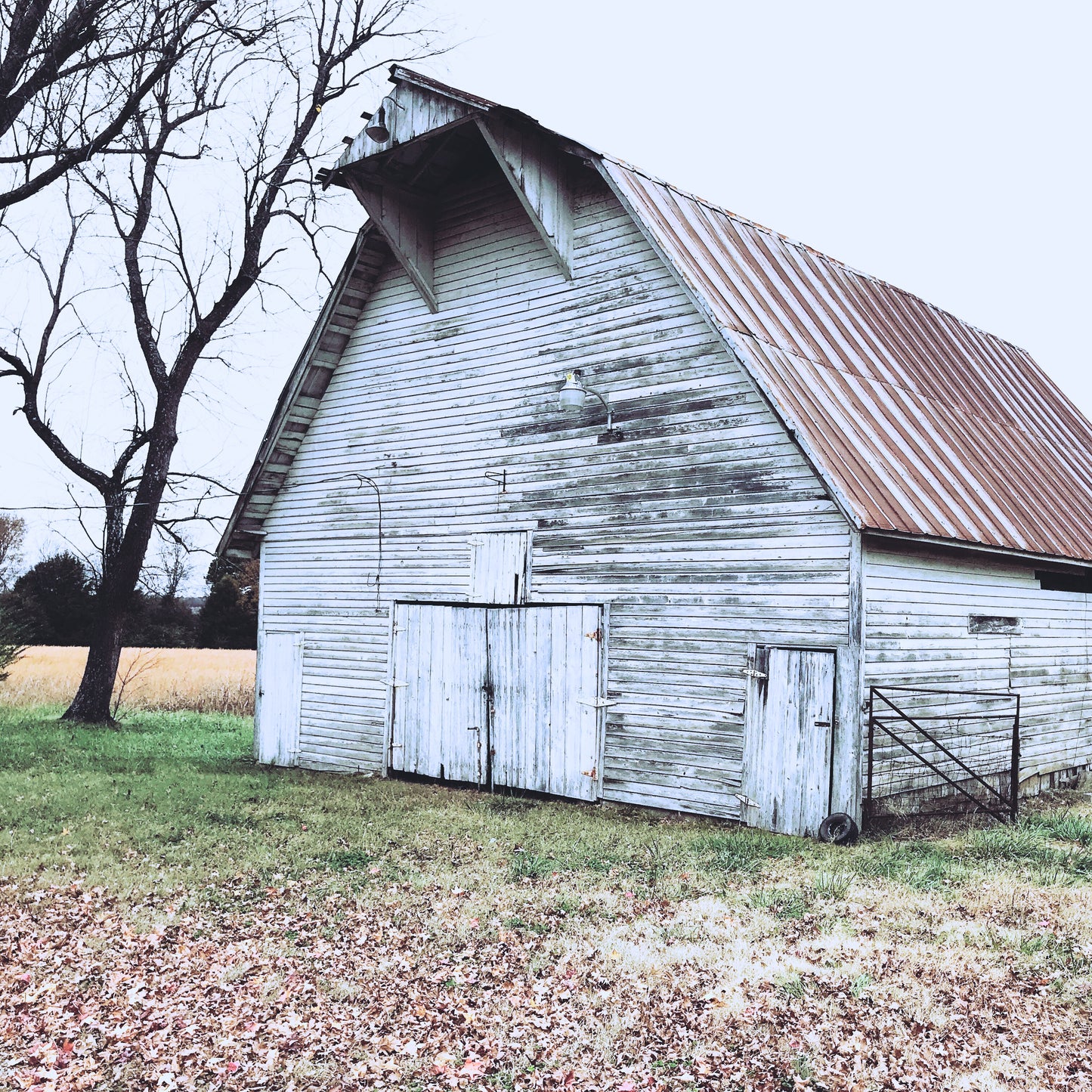 Olivia Burgess - West Fay Barn (2017)