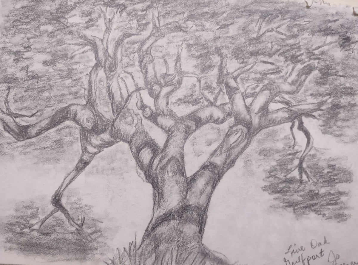Scarlet Sims - Live Oak on Travels, 2013
