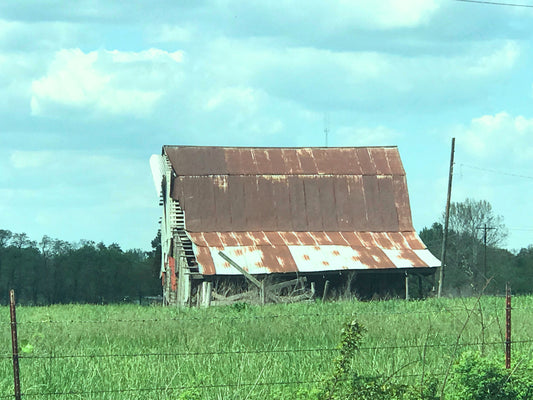 Olivia Burgess - Barn Unknown (2018)
