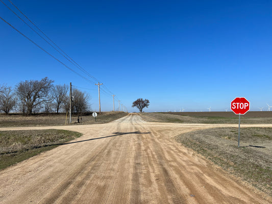 Olivia Burgess - Crossroads (2023)