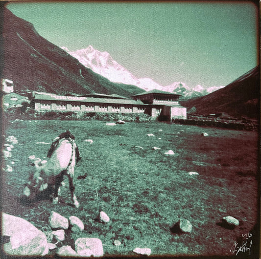 Christy Ward - White Horse In Dingboche (2026)
