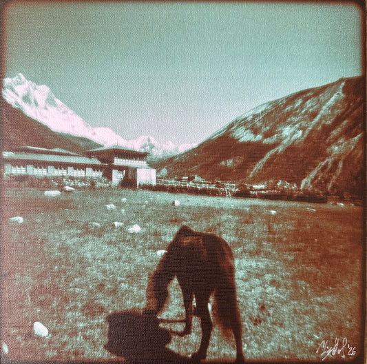 Christy Ward - Black Horse in Dingboche (2024)