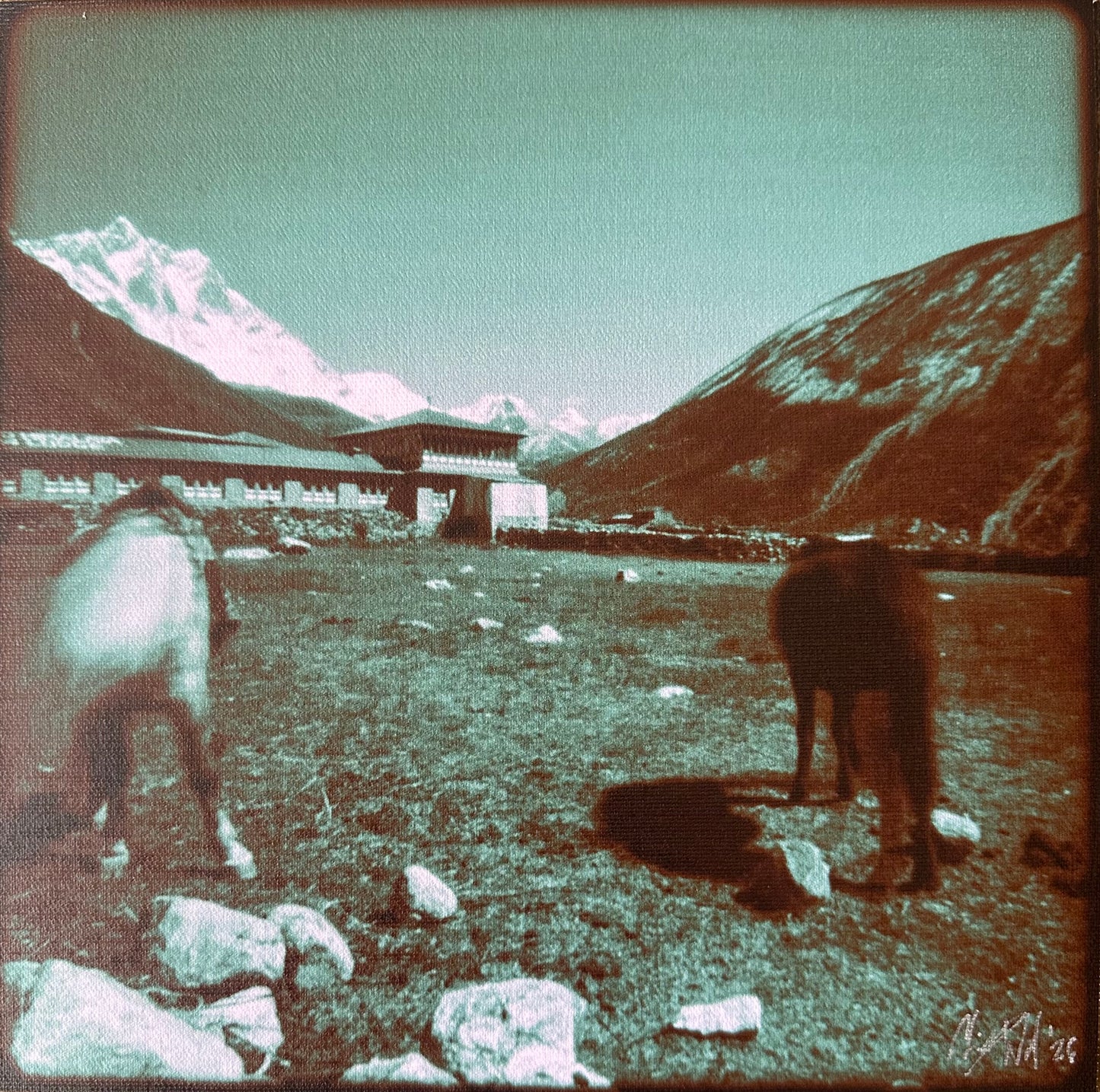 Christy Ward - Two Horses In Dingboche (2024)