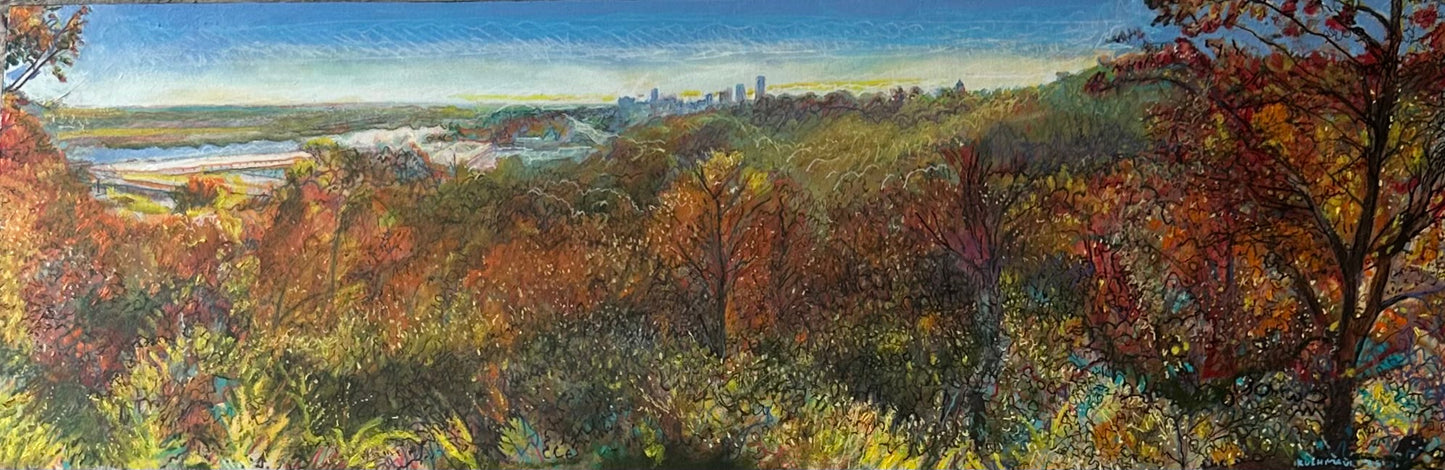 John Kushmaul - Knoop Park Panorama (2026)