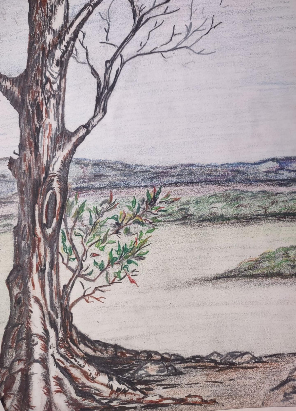Scarlet Sims - Petit Jean Tree, 2015