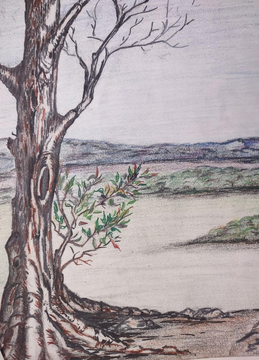Scarlet Sims - Petit Jean Tree, 2015
