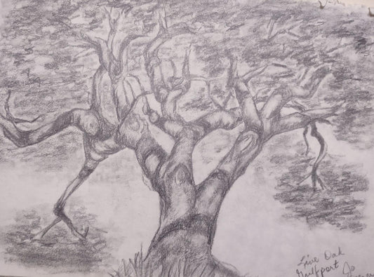 Scarlet Sims - Live Oak on Travels, 2013