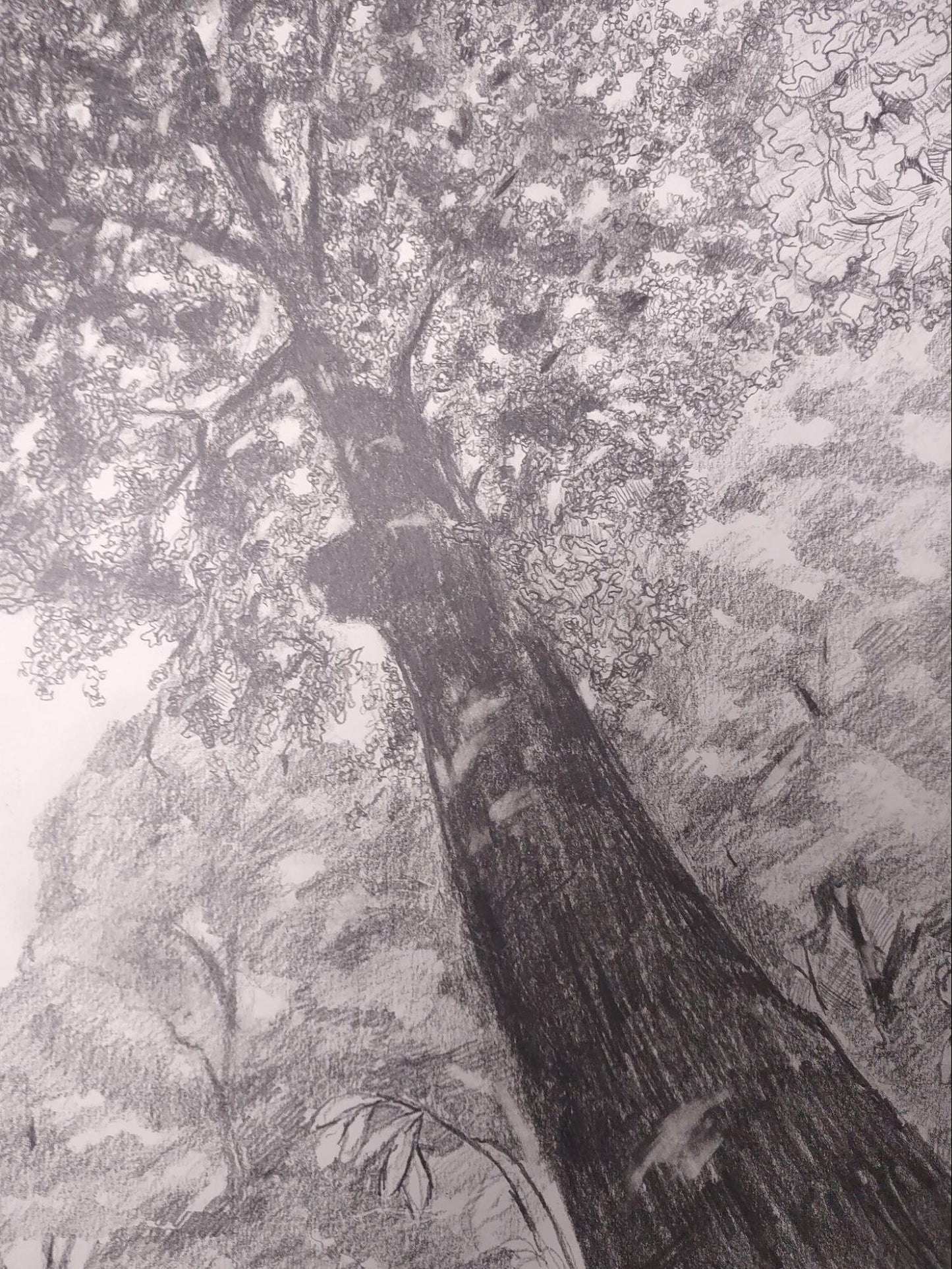 Scarlet Sims - Three Tree Generation: Oak in the Backyard, 2026
