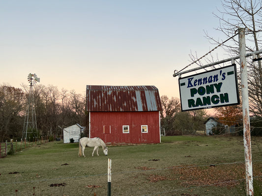 Olivia Burgess - Pony Ranch (2018)